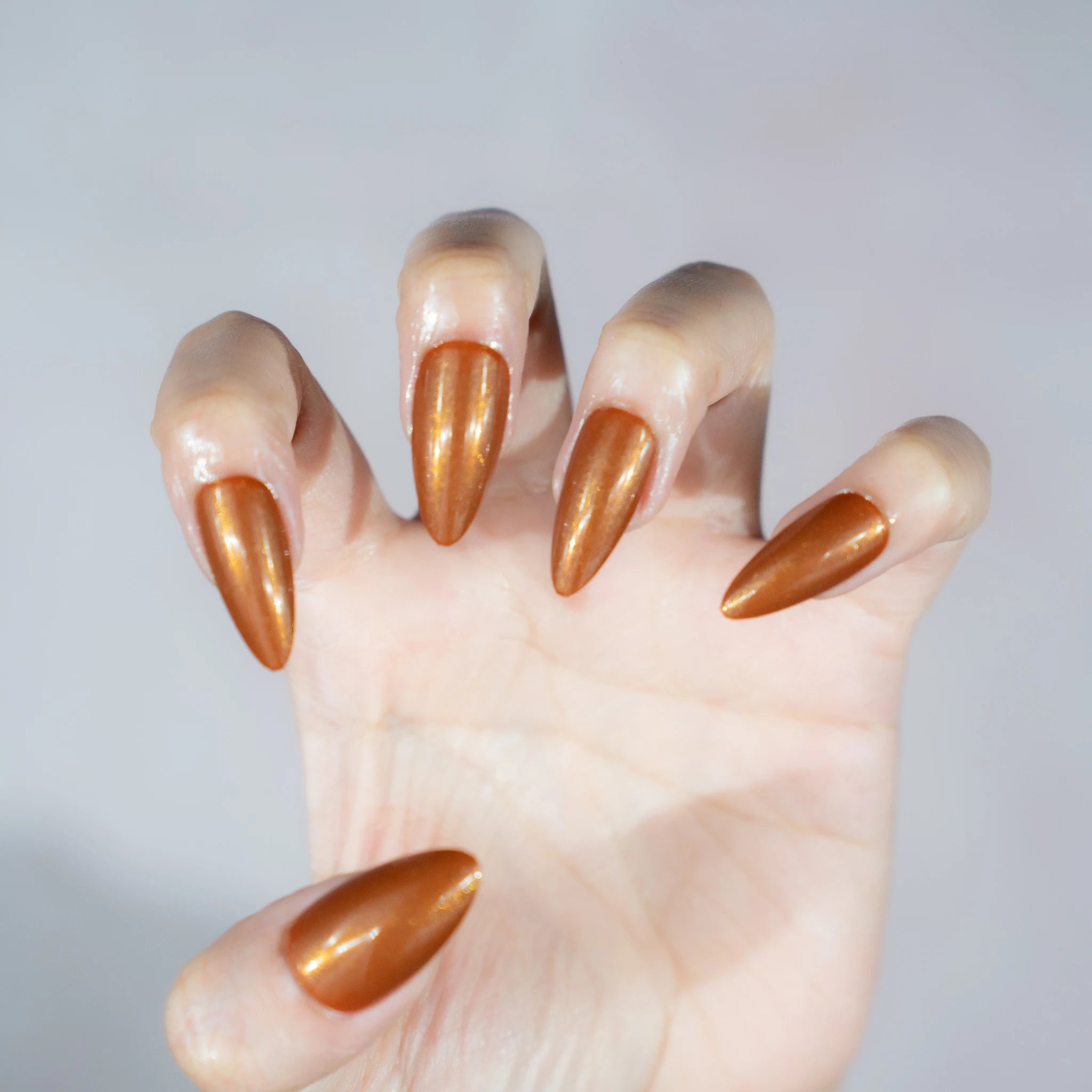 Autumn Spice
